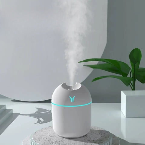 Portable Mini Air Humidifier